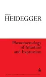 Phenomenology of Intuition and Expression cover