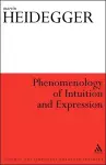 Phenomenology of Intuition and Expression cover