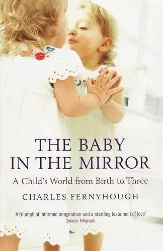 The Baby In The Mirror cover