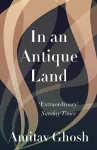 In An Antique Land cover