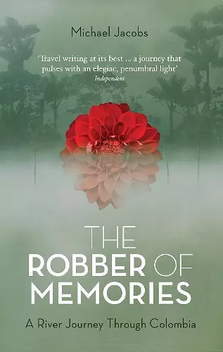 The Robber of Memories cover