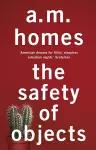 The Safety Of Objects cover