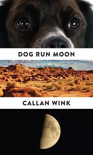 Dog Run Moon cover