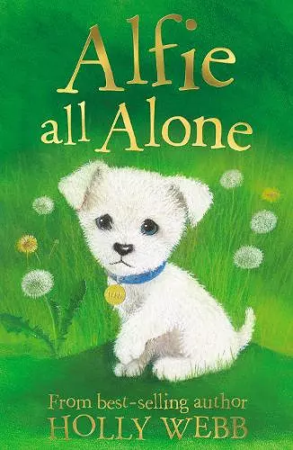 Alfie All Alone cover