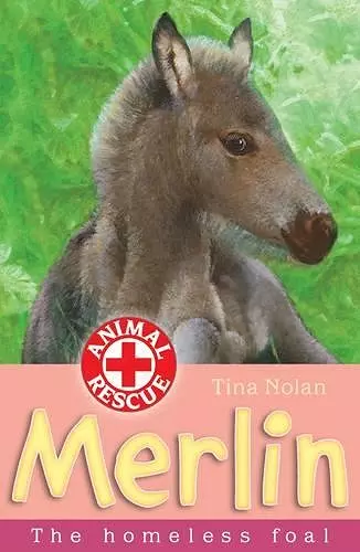 Merlin cover