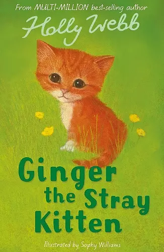 Ginger the Stray Kitten cover