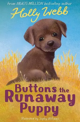 Buttons the Runaway Puppy cover