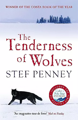 The Tenderness of Wolves cover