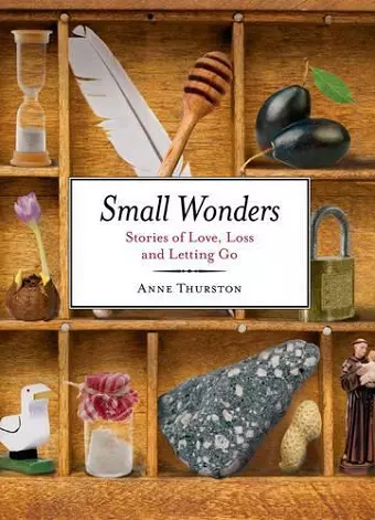 Small Wonders cover