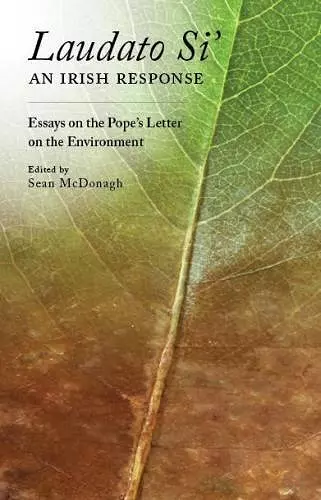 Reflections on Laudato Si' cover