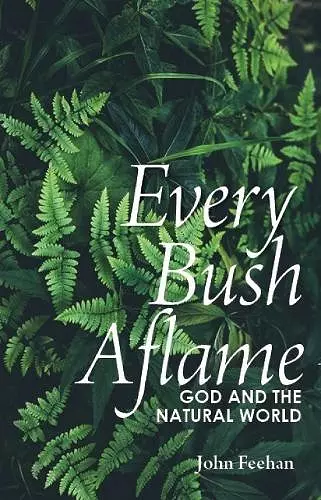 Every Bush Aflame cover