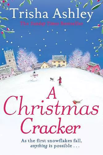 A Christmas Cracker cover