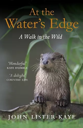 At the Water's Edge cover