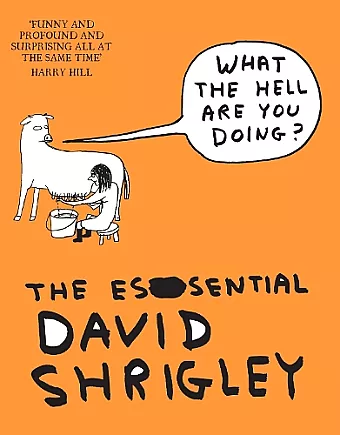 What The Hell Are You Doing?: The Essential David Shrigley cover