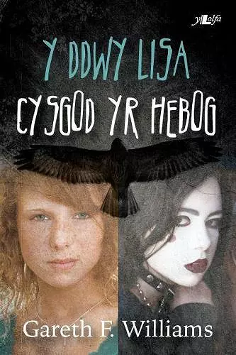 Cyfres y Dderwen: Y Ddwy Lisa - Cysgod yr Hebog cover