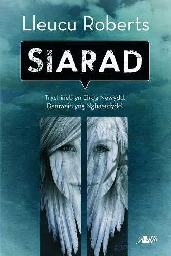 Cyfres y Dderwen: Siarad cover