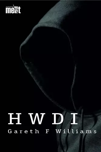 Cyfres Mellt: Hwdi cover