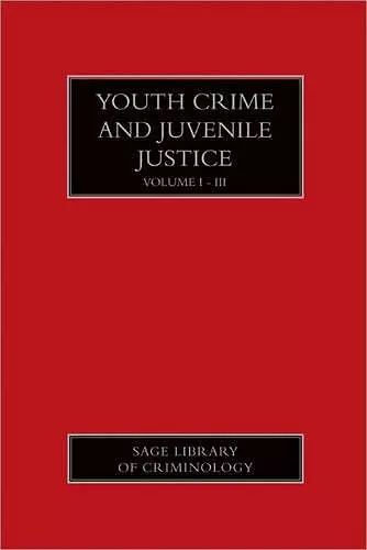 Youth Crime and Juvenile Justice cover