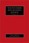 Youth Crime and Juvenile Justice cover