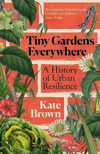 Tiny Gardens Everywhere cover