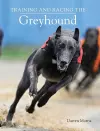 Training and Racing the Greyhound cover