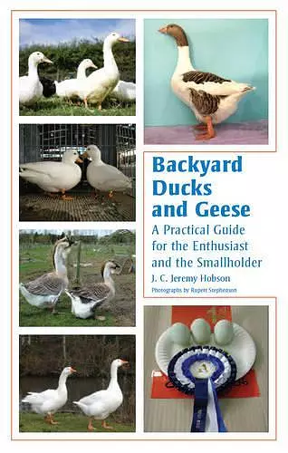 Backyard Ducks and Geese cover