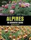 Alpines cover