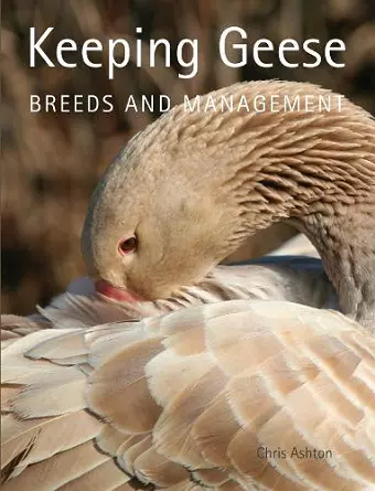 Keeping Geese cover