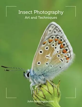 Insect Photography cover