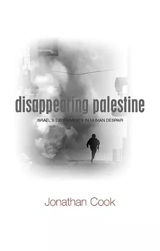 Disappearing Palestine cover