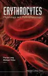 Erythrocytes: Physiology And Pathophysiology cover