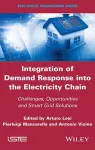 Integration of Demand Response into the Electricity Chain cover
