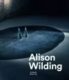 Alison Wilding cover