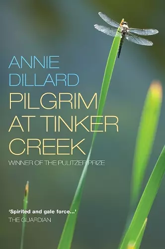 Pilgrim at Tinker Creek cover