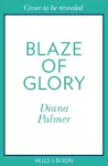 Blaze Of Glory cover