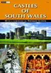 Inside out Series: Castles of South Wales cover