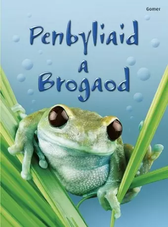 Cyfres Dechrau Da: Penbyliaid a Brogaod cover