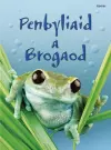 Cyfres Dechrau Da: Penbyliaid a Brogaod cover