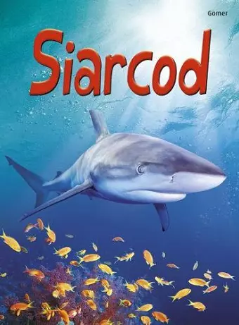 Cyfres Dechrau Da: Siarcod cover