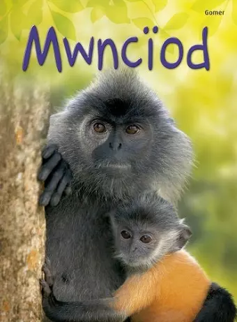 Cyfres Dechrau Da: Mwnciod cover