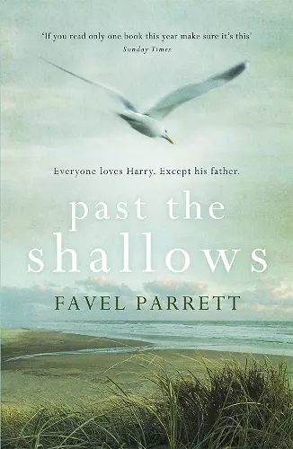 Past the Shallows cover