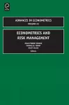 Econometrics and Risk Management cover