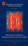 Emotions in Groups, Organizations and Cultures cover