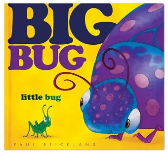 Big Bug, Little Bug cover