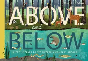 Above and Below cover