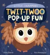 Twit-twoo Pop-up Fun cover