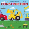 Peek-Through Construction cover
