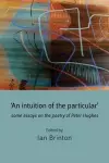 'An Intuition of the Particular': Some Essays on the Poetry of Peter Hughes cover