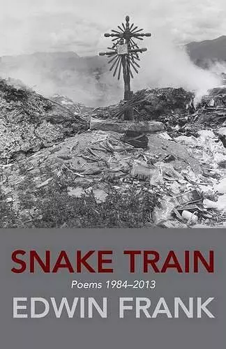 Snake Train cover