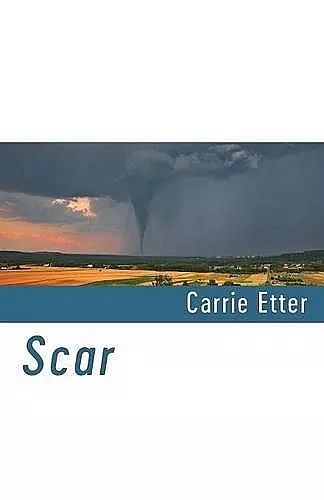 Scar cover